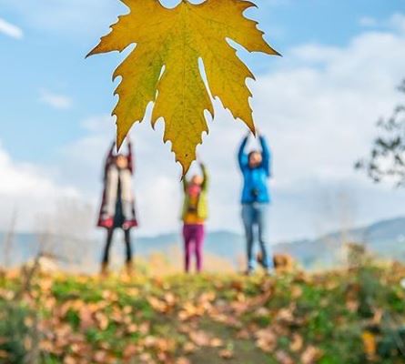 💛年内最後のプレゼント/26日(土)27日(日)📞予約先着の5名様♪20%オフ