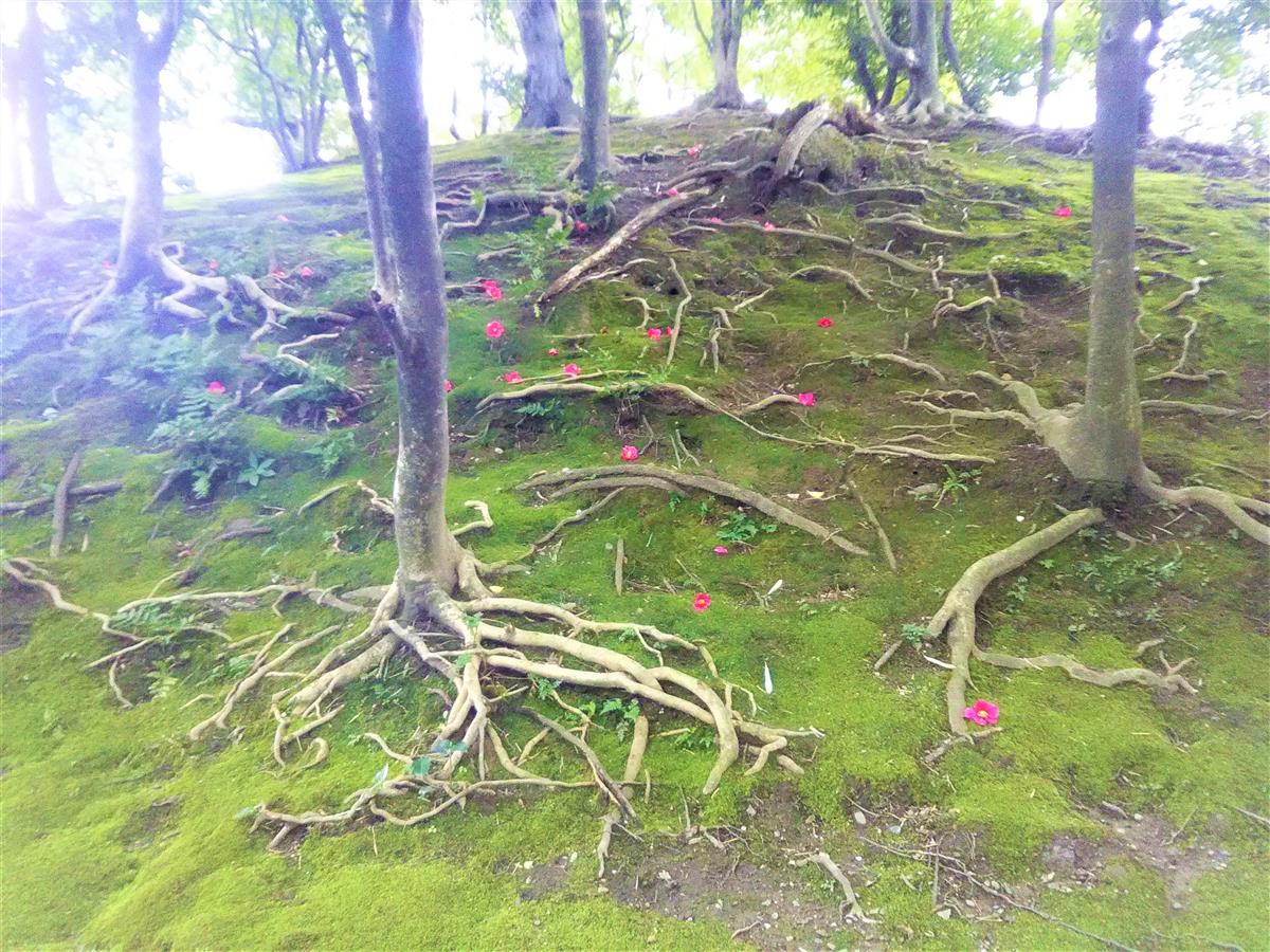 2月11日建国記念日もコロナ対策も万全に施術中❣冷え症肩こり頭痛にどうぞ