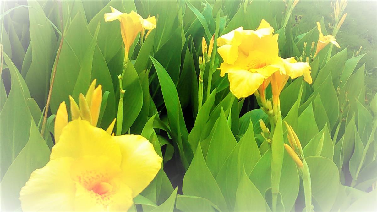 💛8/10山の日も治療中❣肩こり、頭痛、眼精疲労、腰痛、美顔鍼