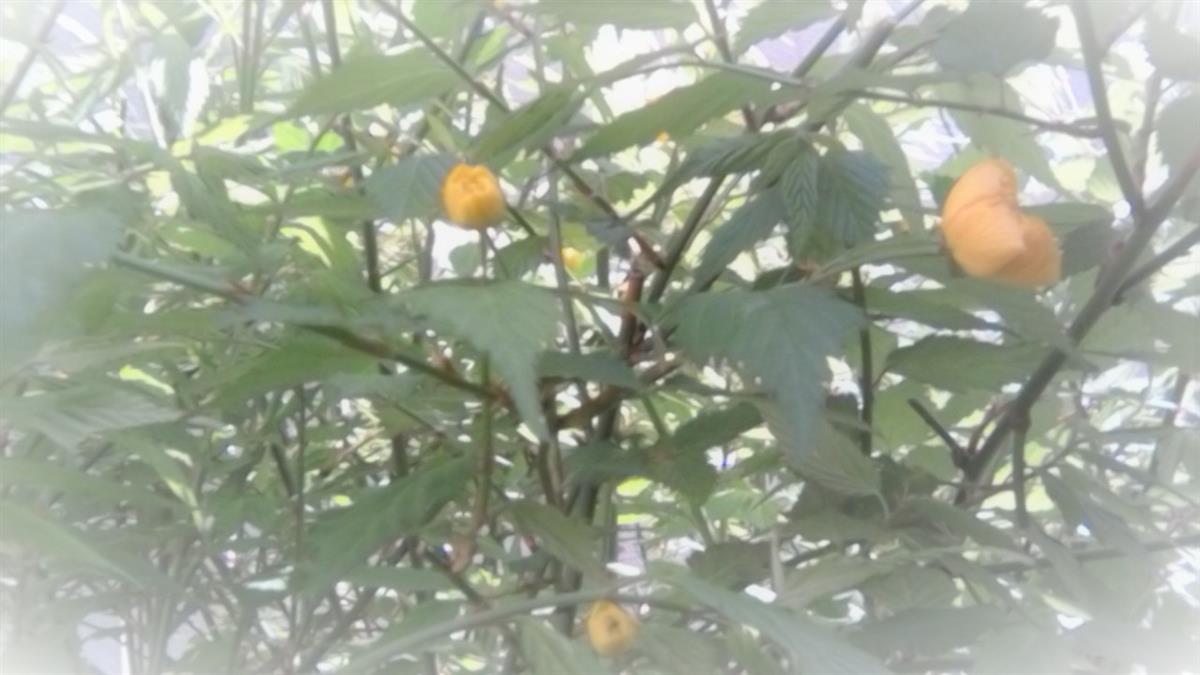 💛6月 新規予約の方 💛先着20名様 💛50%off 💛