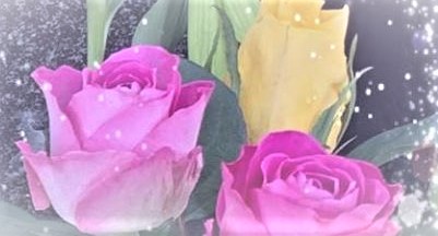 💛7月 新規予約様 25%OFF 10名様先着