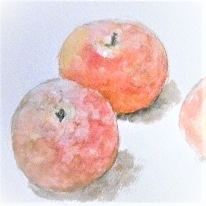 初回限定 20% オフ