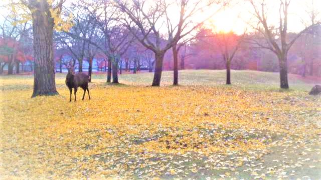 ♡新規様 20% オフ