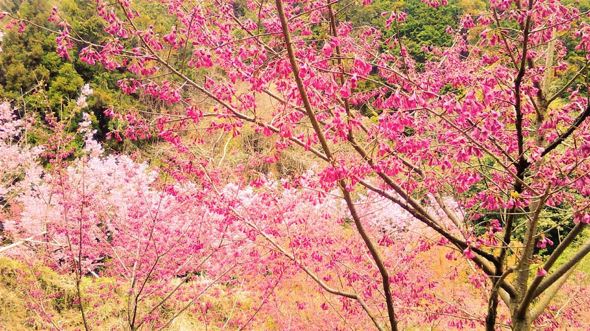 ❤3月20日/春分の日/祝日 ❤10時~16時施術中❤