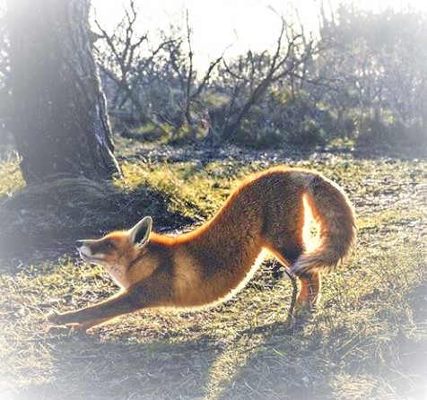 ❤⓶11日(火)建国記念日も施術中❢❤土日祝10時~16時open